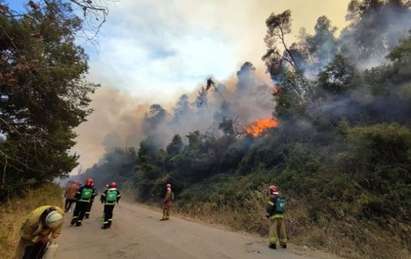 Пожары в Греции: украинцы спасли два населенных пункта
