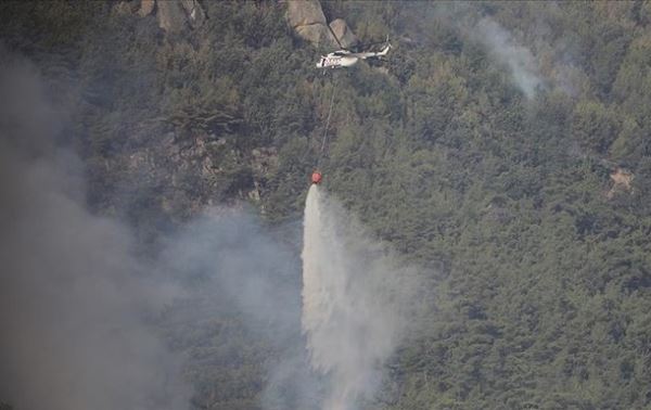 В Анталии погашены большинство лесных пожаров