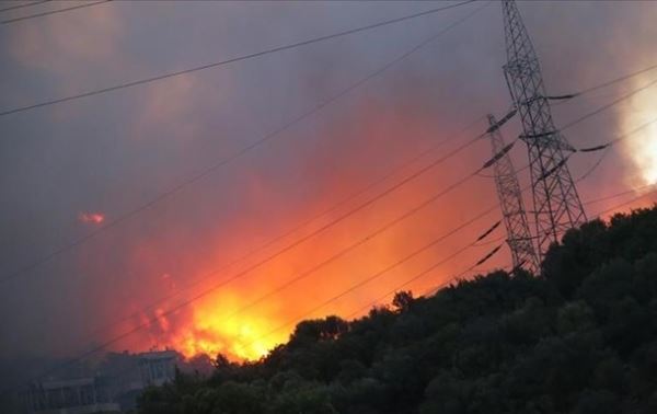 Лесной пожар в Турции добрался до теплоэлектростанции