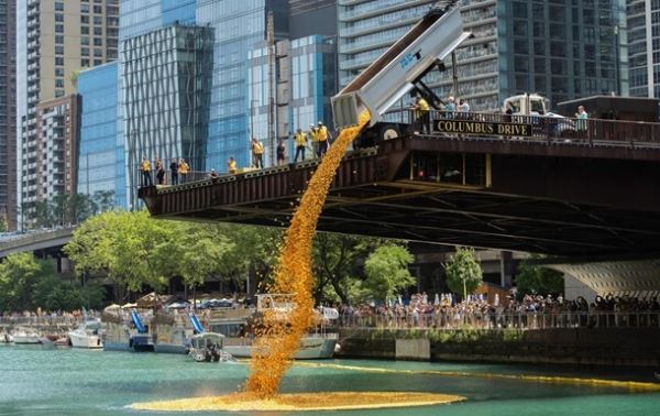 В Чикаго в реку сбросили 70 тысяч резиновых уток